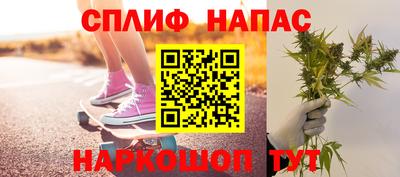 амф Гатчина