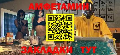 амф Гатчина