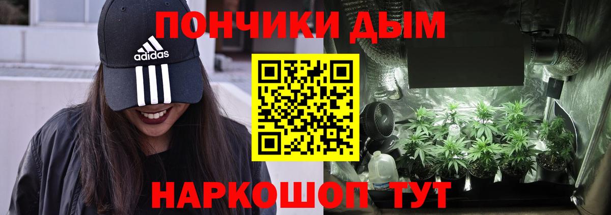 Конопля Amnesia  Вход с VPN  МАРИХУАНА гибрид  Миллерово  Шишки марихуана семена  Конопля White Widow 